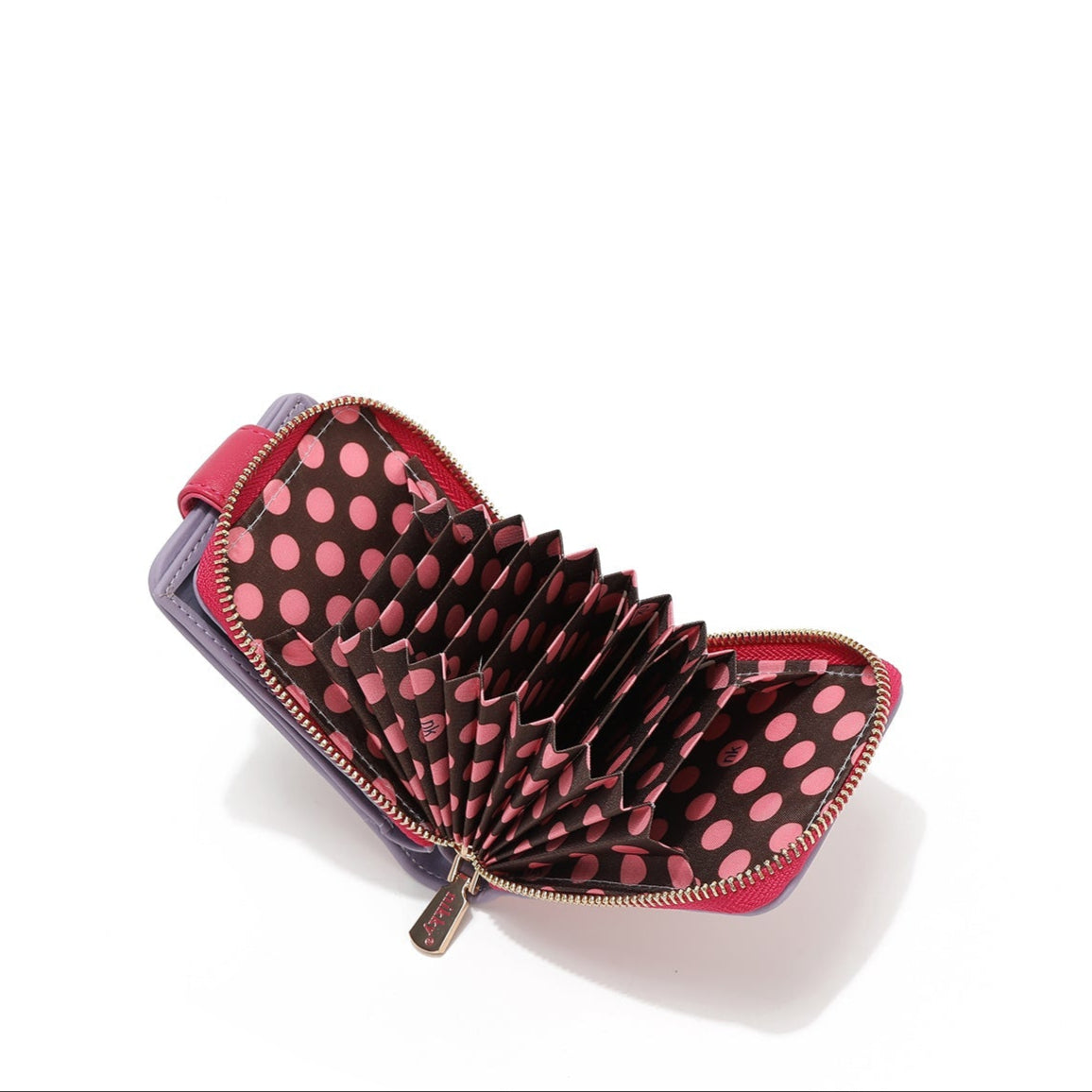 CARTERA PLEGABLE COMPACTA (I LIVE TO TRAVEL)